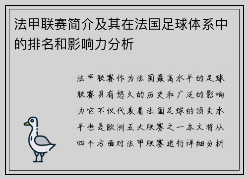 法甲联赛简介及其在法国足球体系中的排名和影响力分析